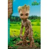 Hot Toys Movie Masterpiece - GROOT DELUXE - Ich heiße Groot - I'm Groot