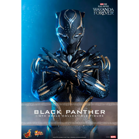 Hot Toys - Black Panther - Black Panther Wakanda Forever Movie Masterpiece 1/6