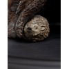 Weta - Der Hobbit Statuette Radagast the Brown - Der Braune - LOTR