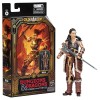 Hasbro - HOLGA - Dungeons & Dragons Honor Among Thieves - Goldenes Archiv
