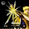 Tsume Ikigai - VIRGO SHAKA - Saint Seiya - Die Ritter des Zodiakus Shake der Jungfrau