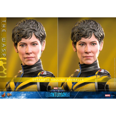 Hot Toys Movie Masterpiece 1/6 The Wasp - AntMan & The Wasp: Quantumania