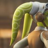 Gentle Giant - Hera & Chopper - 2er-Pack 1/6 Star Wars: Rebels Büsten