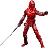 Star Wars The Black Series Carbonized - Pack 2 Figuren Emperor's Royal Guard & TIE Fighter Pilot - 40th ROTJ Anniversary