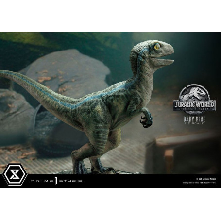 Prime 1 Studio - Jurassic World: Fallen Kingdom - Baby Blue 1/2 Scale Statue