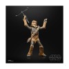 Star Wars Black Series - Chewbacca Return of the Jedi 40th Anniversary