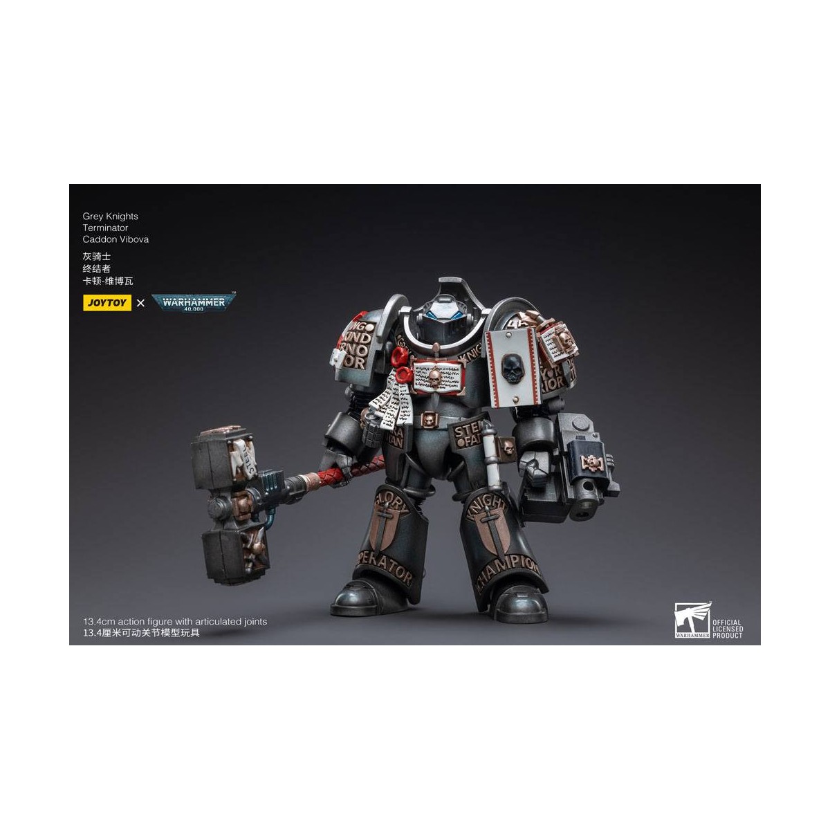 JoyToy Space Marines - Terminators Grey Knights - Caddon Vibova 1/18 - Warhammer 40K