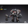 JoyToy Space Marines - Terminators Grey Knights - Caddon Vibova 1/18 - Warhammer 40K