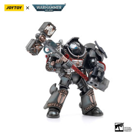 JoyToy Space Marines - Terminators Grey Knights - Caddon Vibova 1/18 - Warhammer 40K