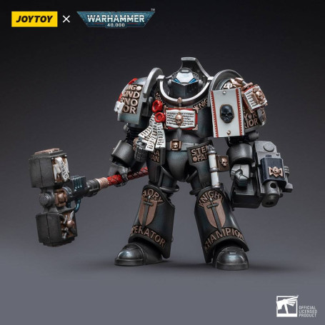 JoyToy Space Marines - Terminators Grey Knights - Caddon Vibova 1/18 - Warhammer 40K