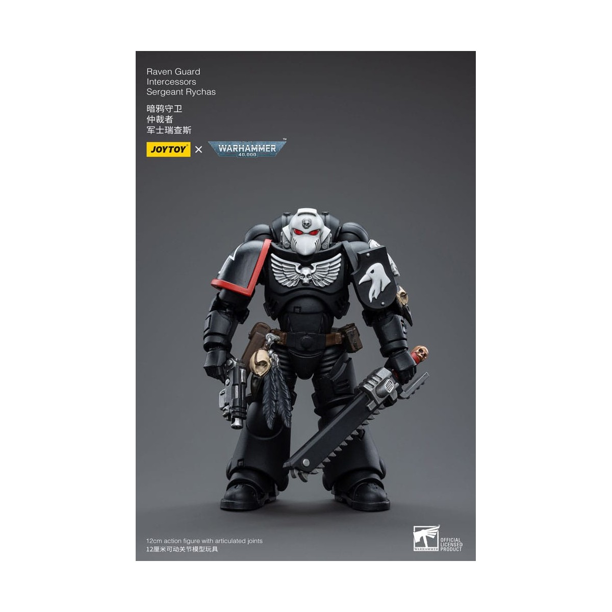 JoyToy Space Marines - Raven Guard - Intercessors Sergeant Rychas 1/18 - Warhammer 40K