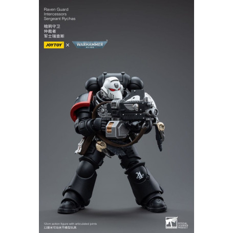 JoyToy Space Marines - Raven Guard - Intercessors Sergeant Rychas 1/18 - Warhammer 40K