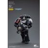 JoyToy Space Marines - Raven Guard - Intercessors Brother Colvane 1/18 - Warhammer 40K