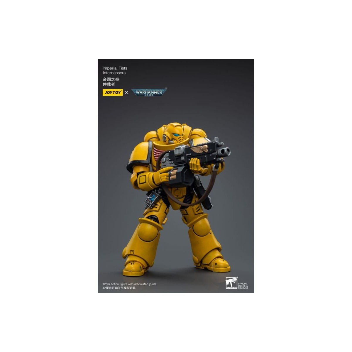 JoyToy Space Marines - Imperial Fists 2 - Intercessors 1/18 - Warhammer 40K