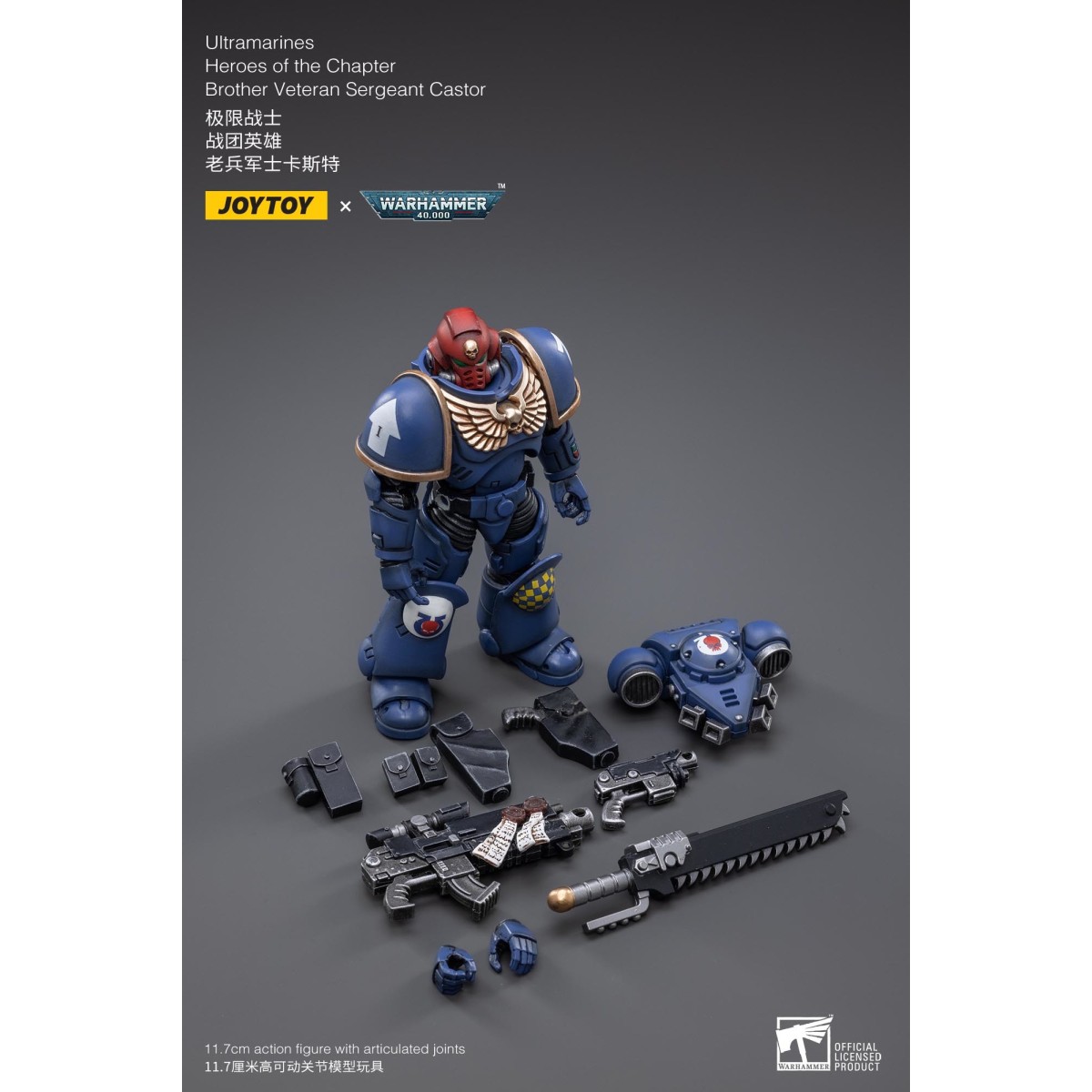JoyToy - Space Marines - Ultramarines - Heroes of the Chapter Brother Veteran Sergeant Castor 1/18 - Warhammer 40K