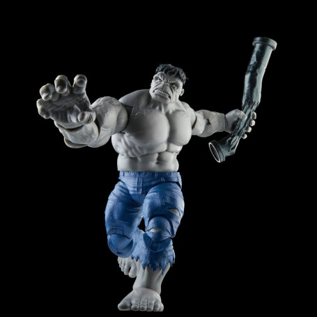 Marvel Legends - GRAY HULK & DR. BRUCE BANNER - Avengers: Beyond Earth's Mightiest