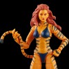 Marvel Legends Series - The West Coast Avengers Collection 5 Pack